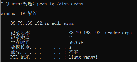 查看DNS缓存 杨逸