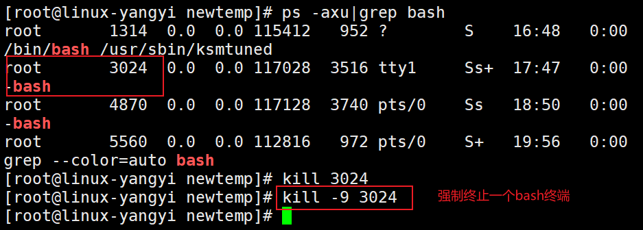 强制终止一个bash终端 杨逸