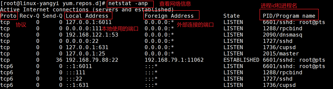 查看系统网络信息 杨逸