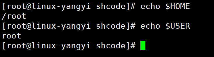 查看系统变量 杨逸